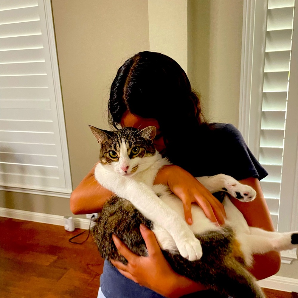 Meet your Posher, Arya
